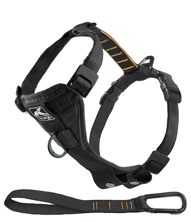 Kurgo dog harness for the car