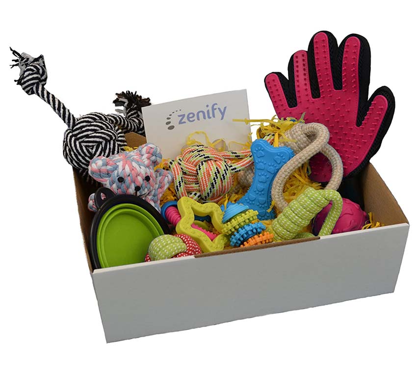 Puppy toy box from Zenify