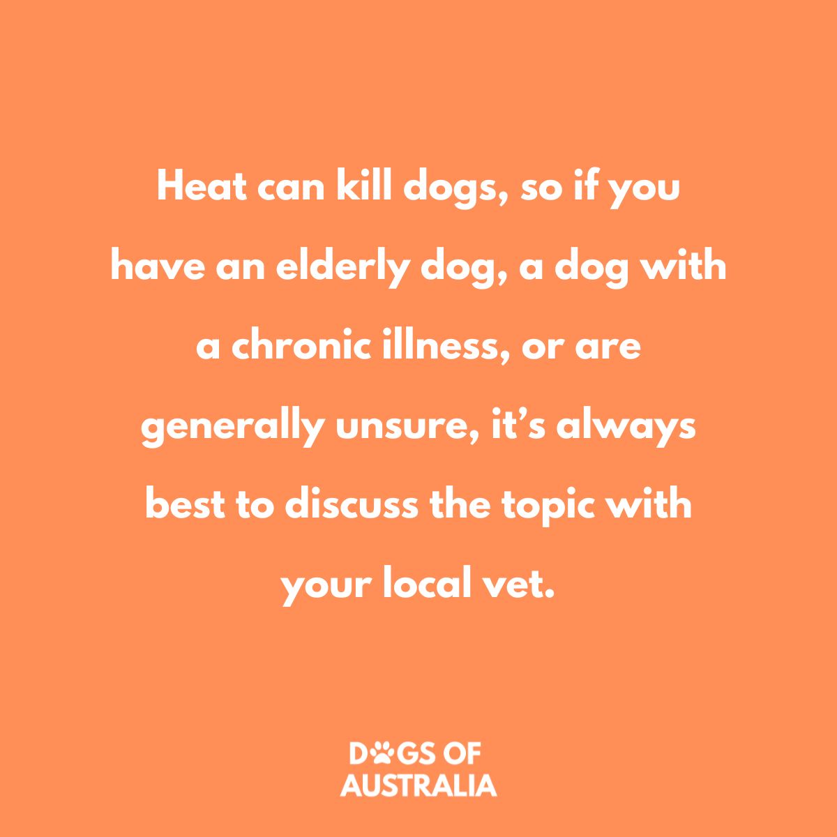 Hot Weather How Hot Is Too Hot For Dogs? (9+ Questions Answered)