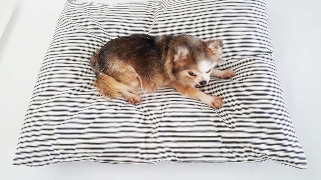 Dog bed covers australia Clearance