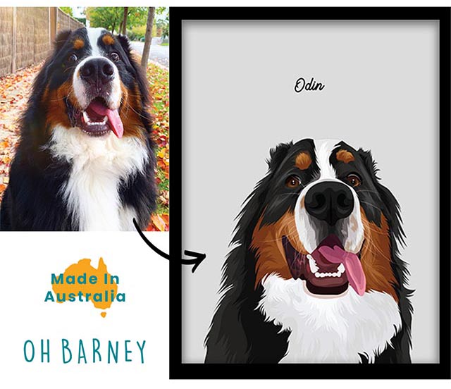 Custom Dog Portrait before and after