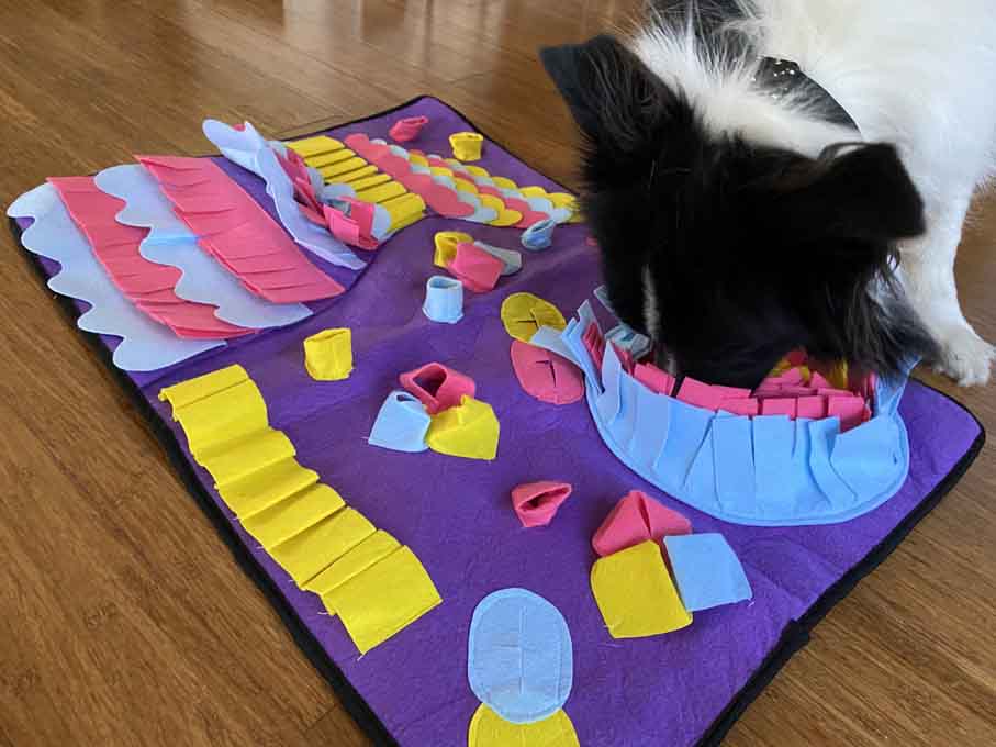 Dog sniffing for treats from snuffle mat