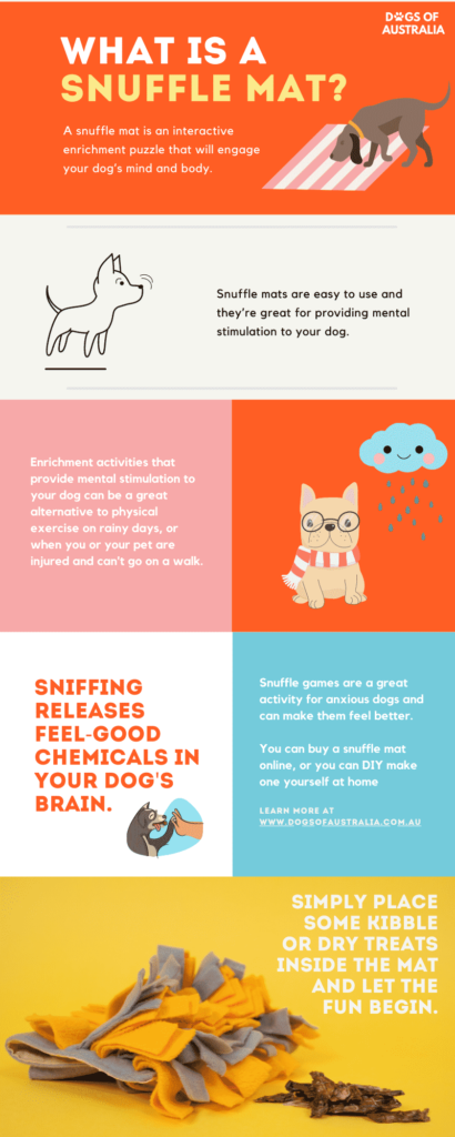 Snuffle Mats For Dogs: All You Need To Know (2024 Update) What Is A Snuffle Mat Infographic