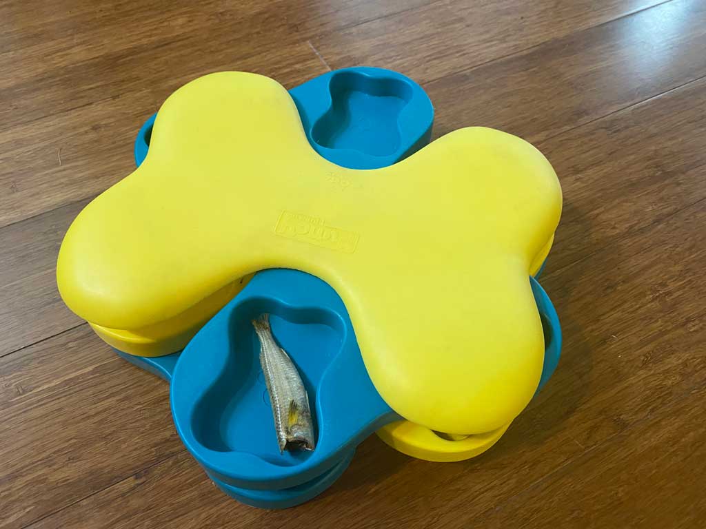 Dog Puzzle Toys: Which One Is Right For You? Puzze toy for dogs