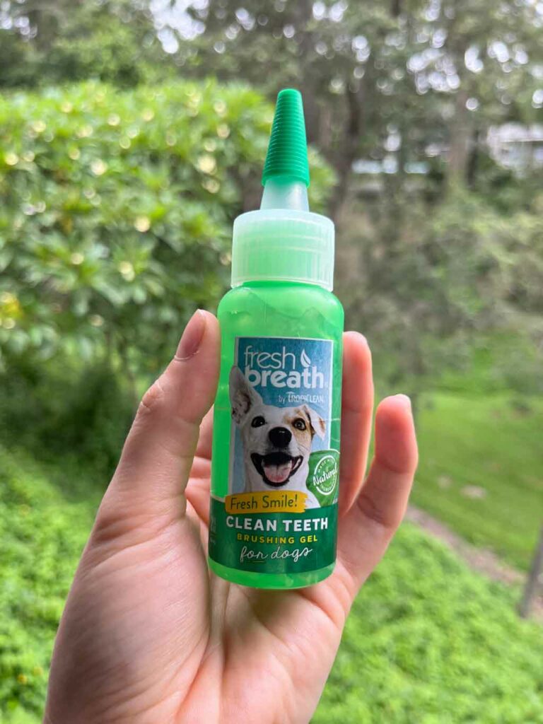 Best toothpaste for dogs australia hotsell