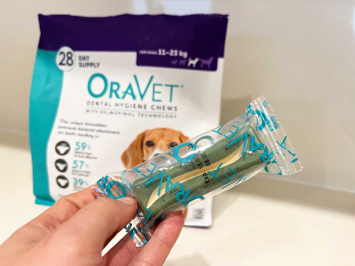 Dental Chews For Dogs That Actually Work