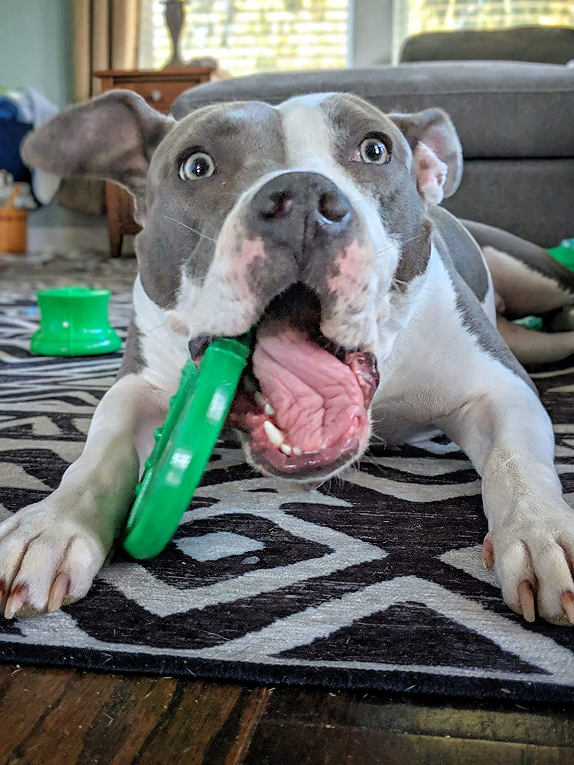 4 Tough Staffy Toys For Strong Chewers