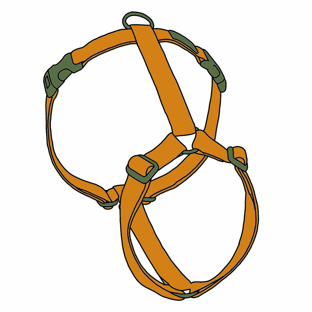 Top Dog Harness Dogs of Australia