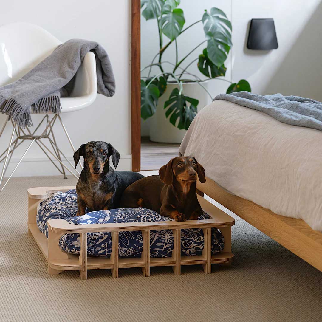 6+ Cool Wooden Dog Beds for Australians