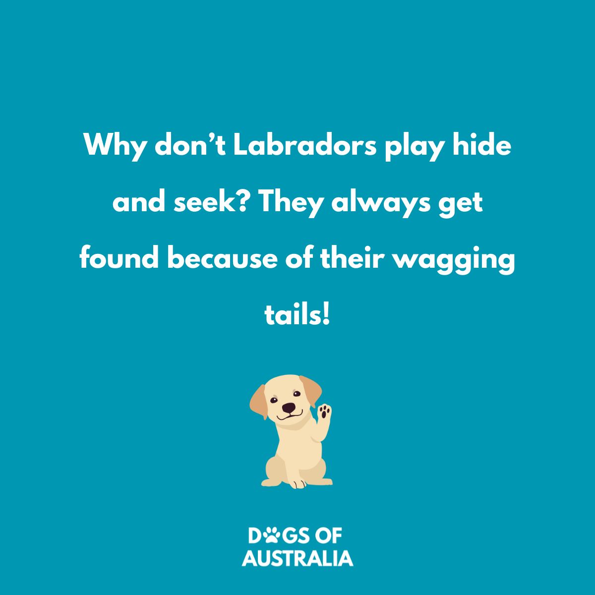 15 Hilarious Labrador Jokes That Will Have You Wagging Your Tail