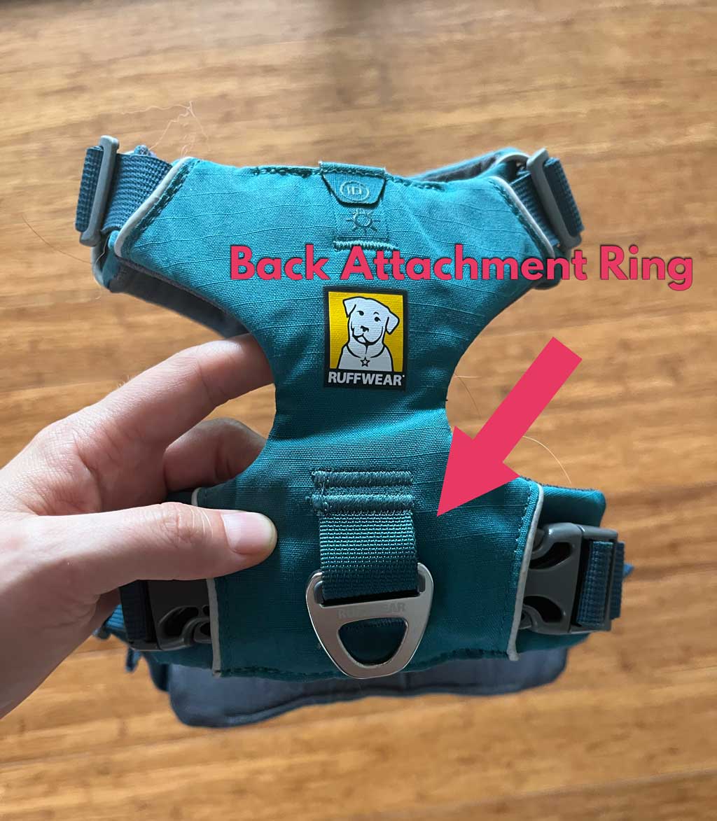 What's The Best Dog Harness For Australians? (2024 Update)