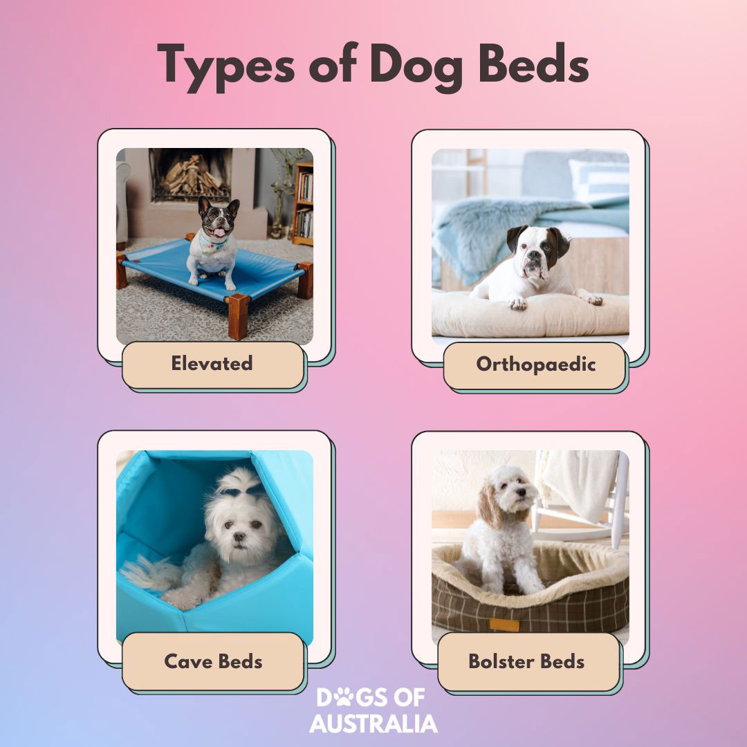 9 Cute Dog Bed Ideas You Need To See
