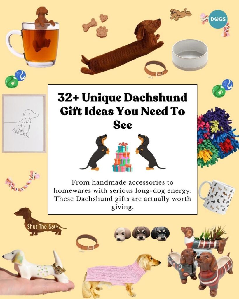 Photo collage of dachshund gift ideas