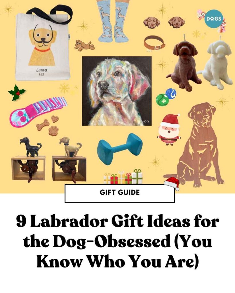 9 Labrador Gift Ideas for the Dog-Obsessed (You Know Who You Are) labrador gift ideas collage