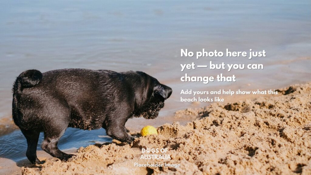 Dog Beach Placeholder Image