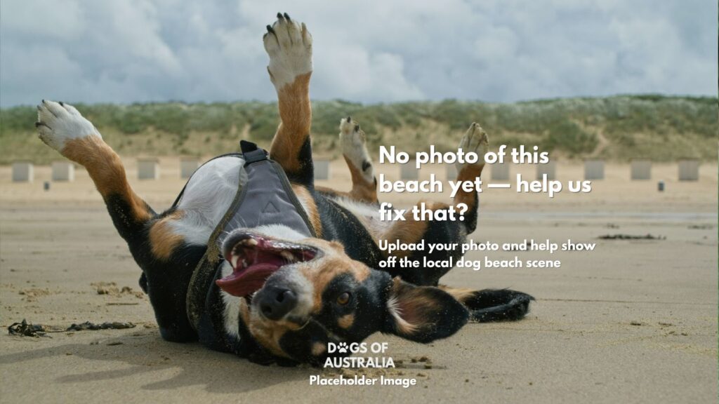 Dog Beach Placeholder Image