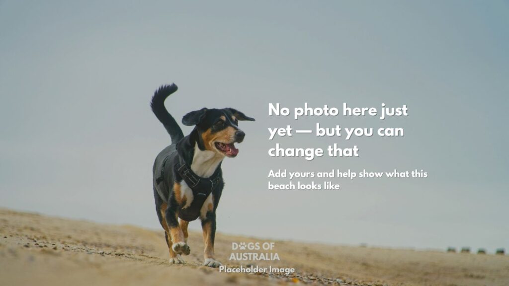 Dog Beach Placeholder Image