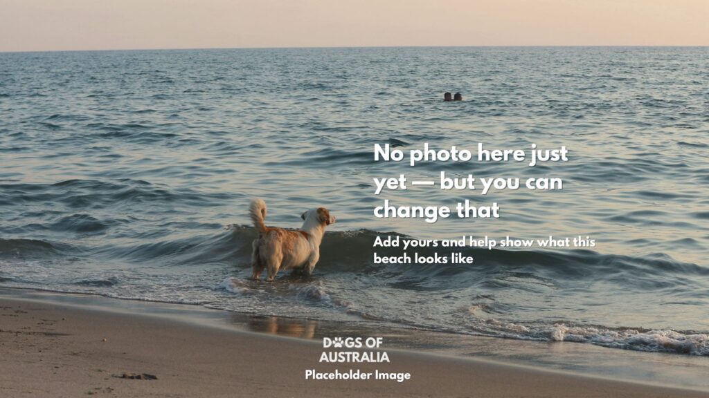 Dog Beach Placeholder Image