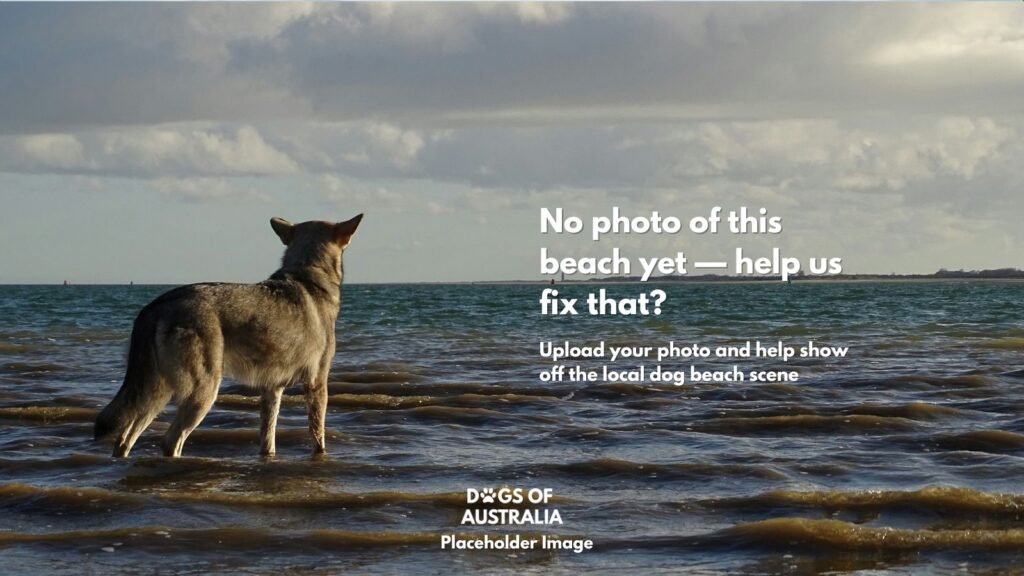 Dog Beach Placeholder Image