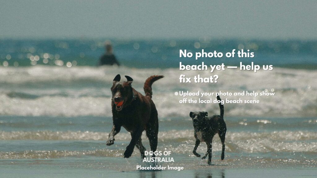 Dog Beach Placeholder Image