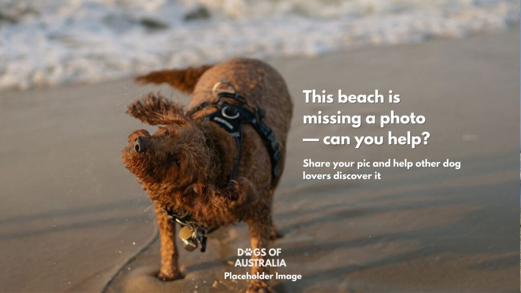 Dog Beach Placeholder Image