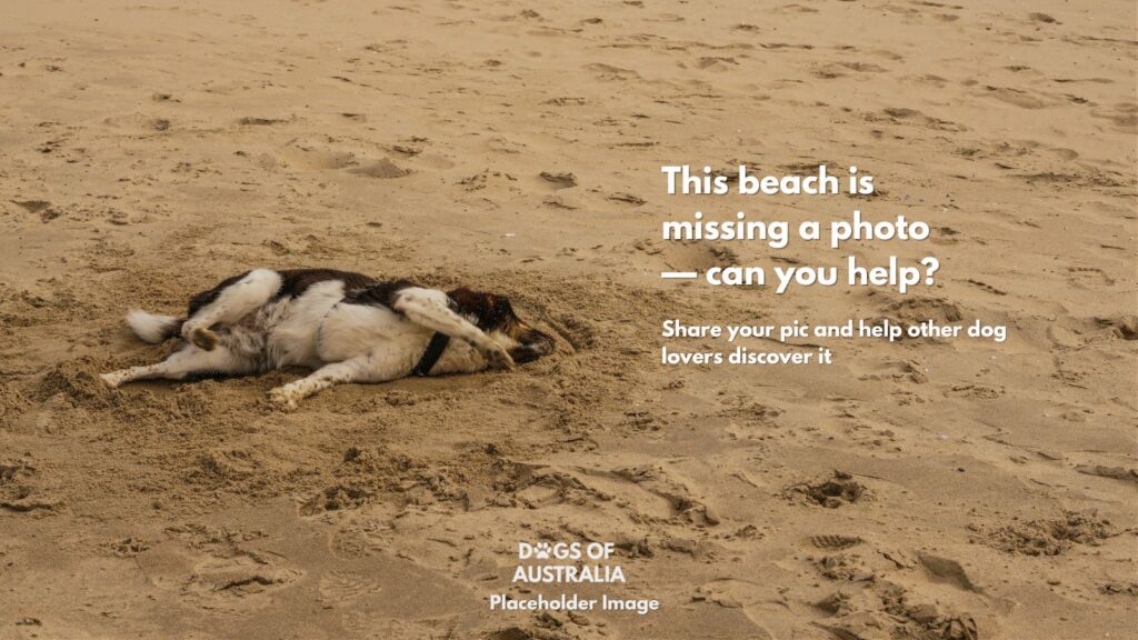 Dog Beach Placeholder Image