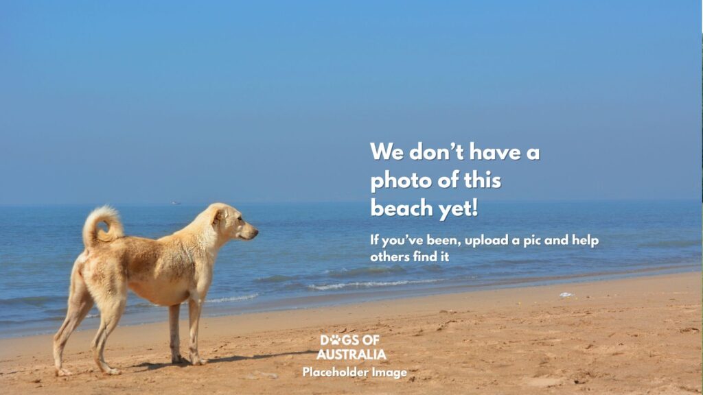 Dog Beach Placeholder Image