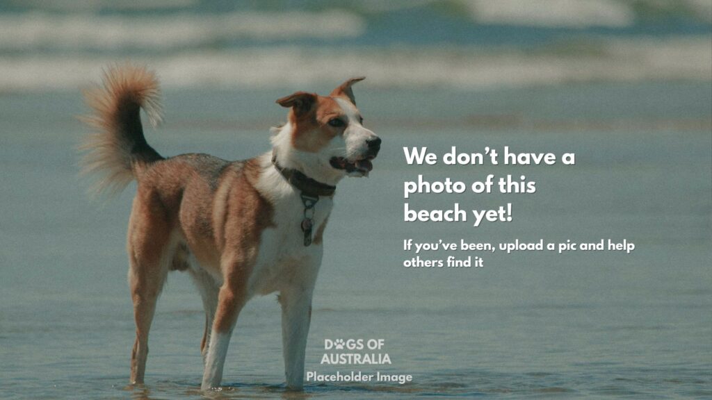 Dog Beach Placeholder Image