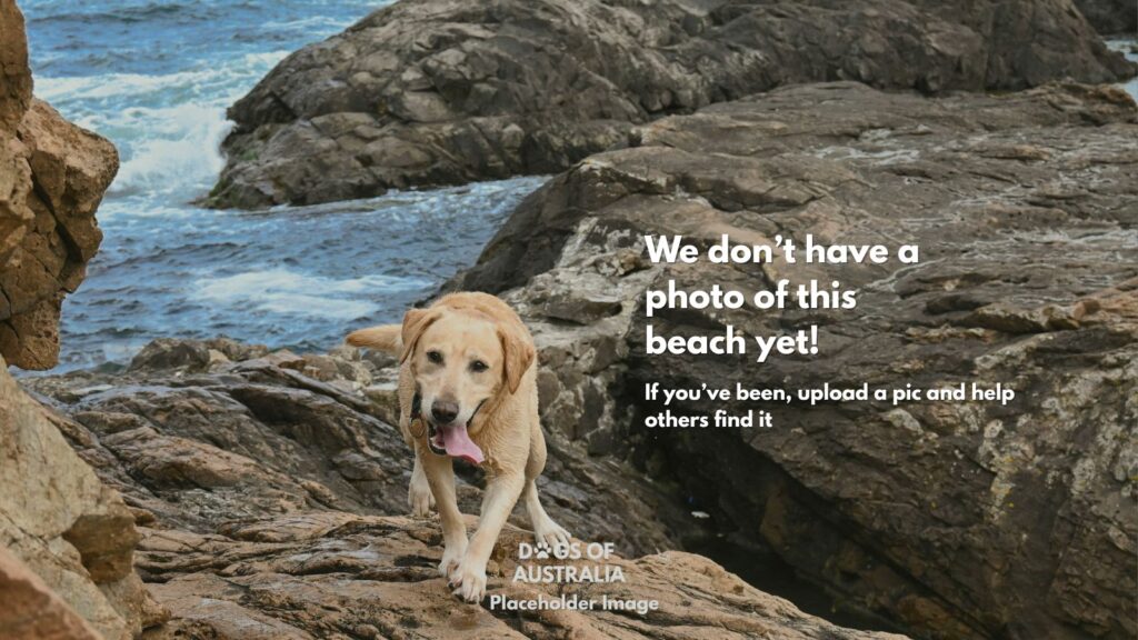 Dog Beach Placeholder Image
