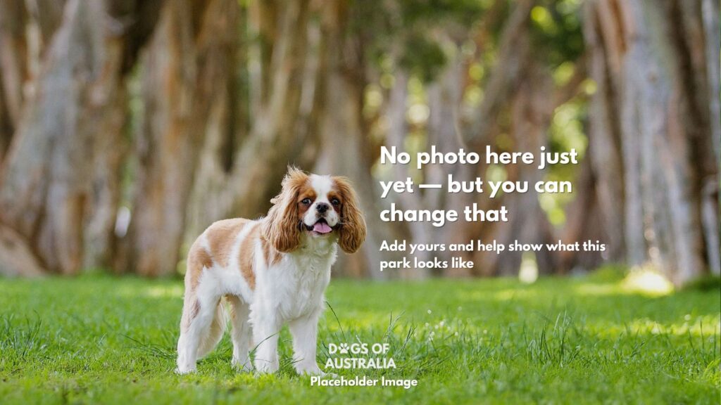 Dog Park Placeholder Image