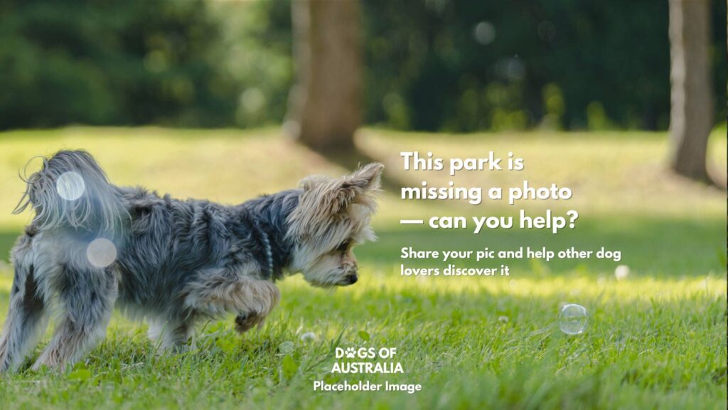 Dog Park Placeholder Image