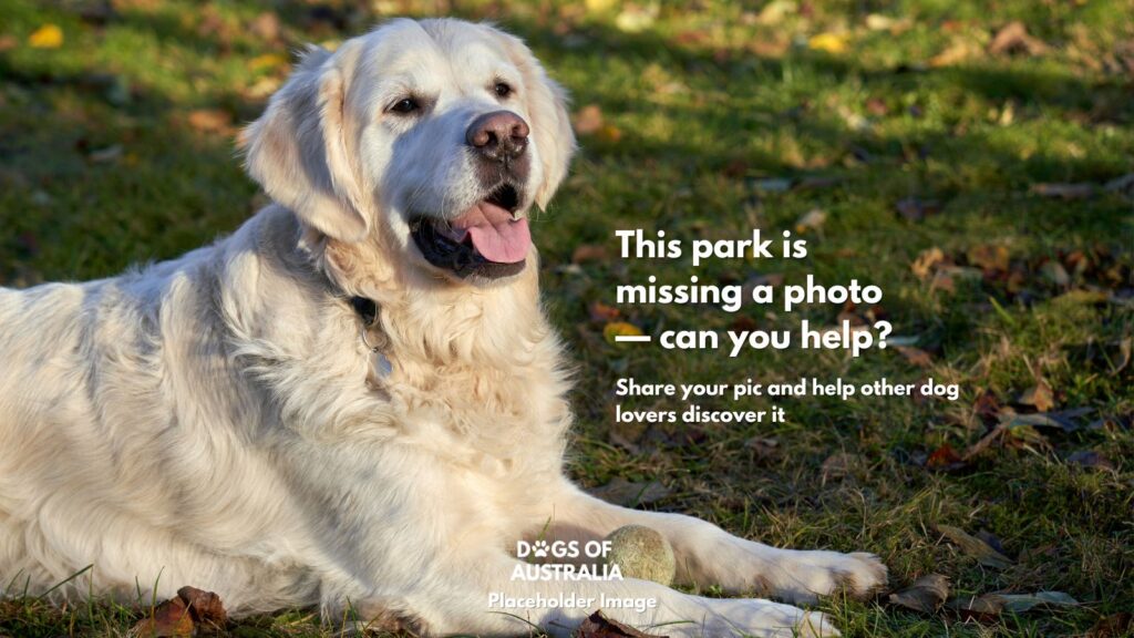 Dog Park Placeholder Image