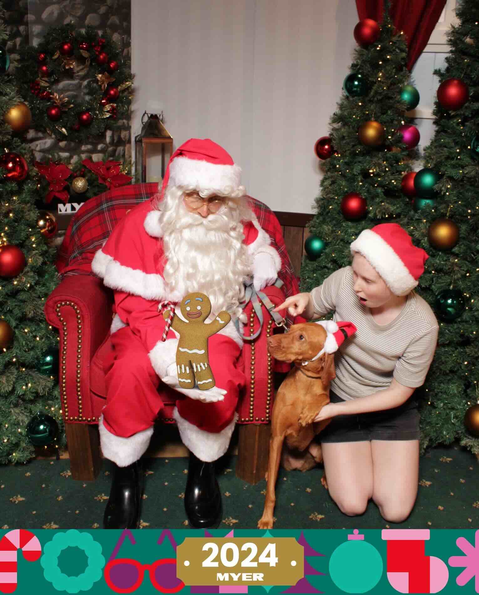 Dog posing with Santa at Myer