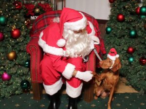 Dog with Santa at Santa Paws Mayer