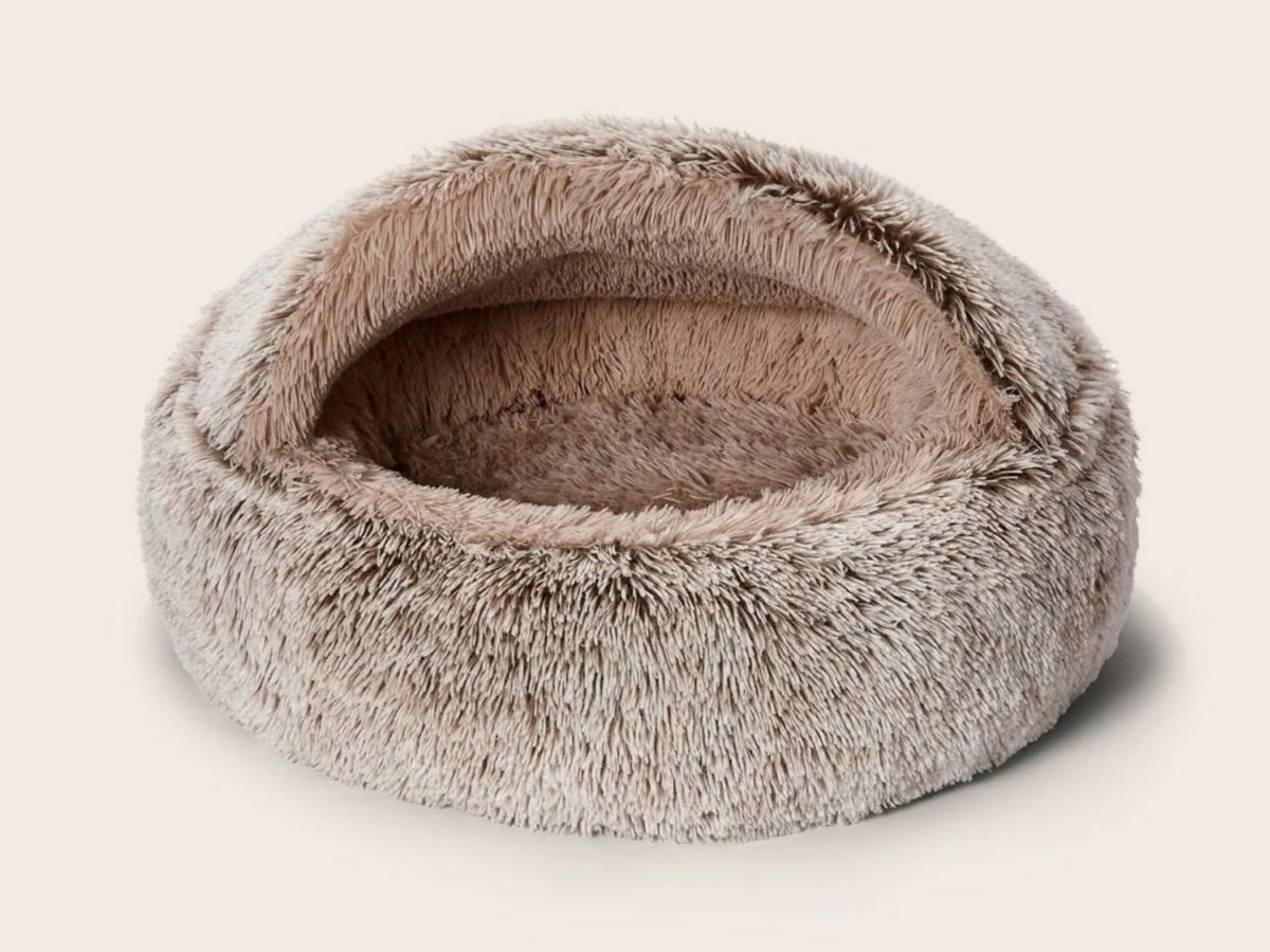 Best burrow bed for dachshunds