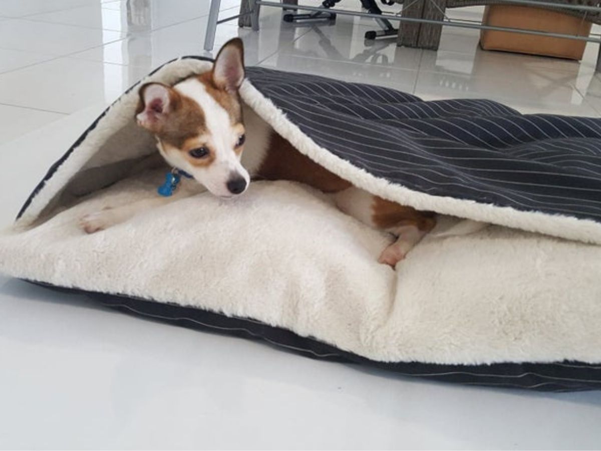 Dog Cave Bed