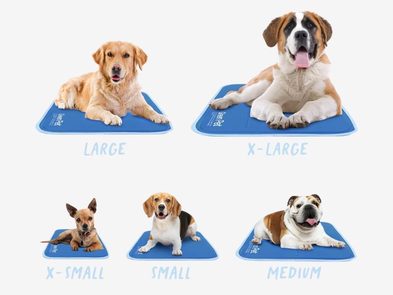 Do Dog Cooling Mats Actually Work? The Best Options for Aussie Dogs Dog Cooling Mat Sizes