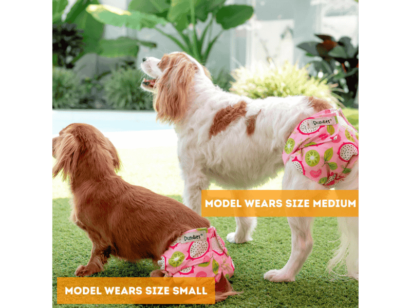 Dundies All-In-One Washable Dog Nappies