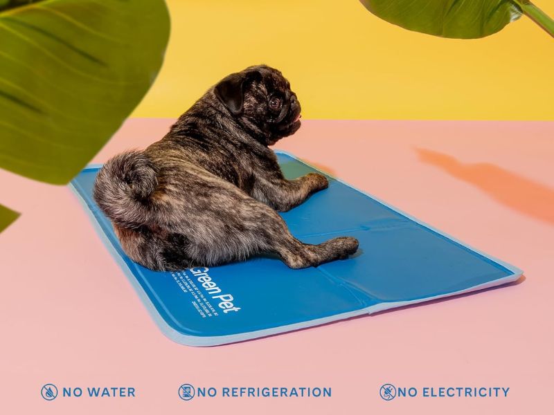 Green Pet Shop Cool Pet Pad - Pressure Activated Cooling Mat