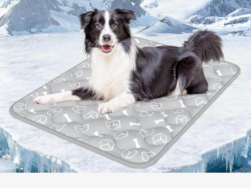 Rywell Dog Cooling Mat