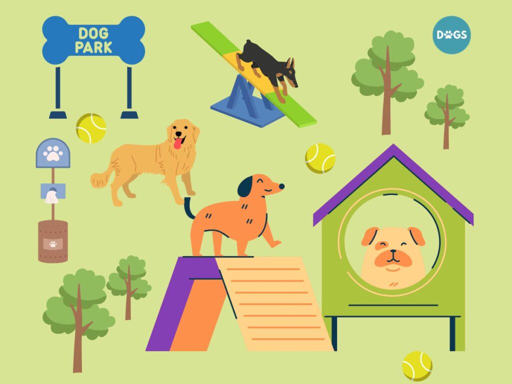 A Comprehensive Guide to Dog Park Drama A Comprehensive Guide to Dog Park Drama A Comprehensive Guide to Dog Park Drama