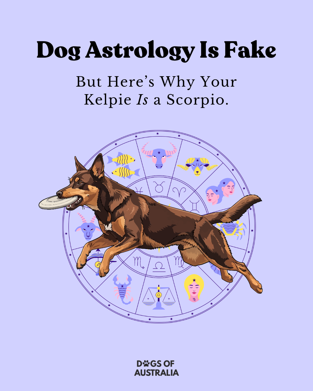 Dog Astrology Is Fake — But Here's Why Your Kelpie Is a Scorpio Dog Astrology Is Fake — But Here's Why Your Kelpie Is a Scorpio Dog Astrology is Fake