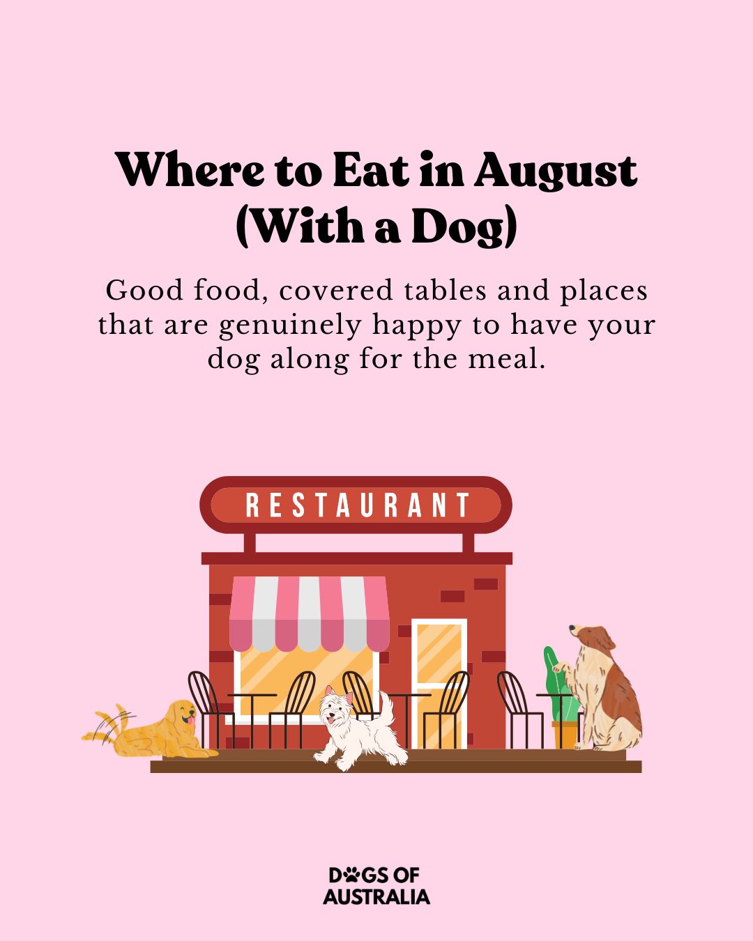 Where to Eat in August (With a Dog) Where to Eat in August (With a Dog) Where to eat in August with a dog
